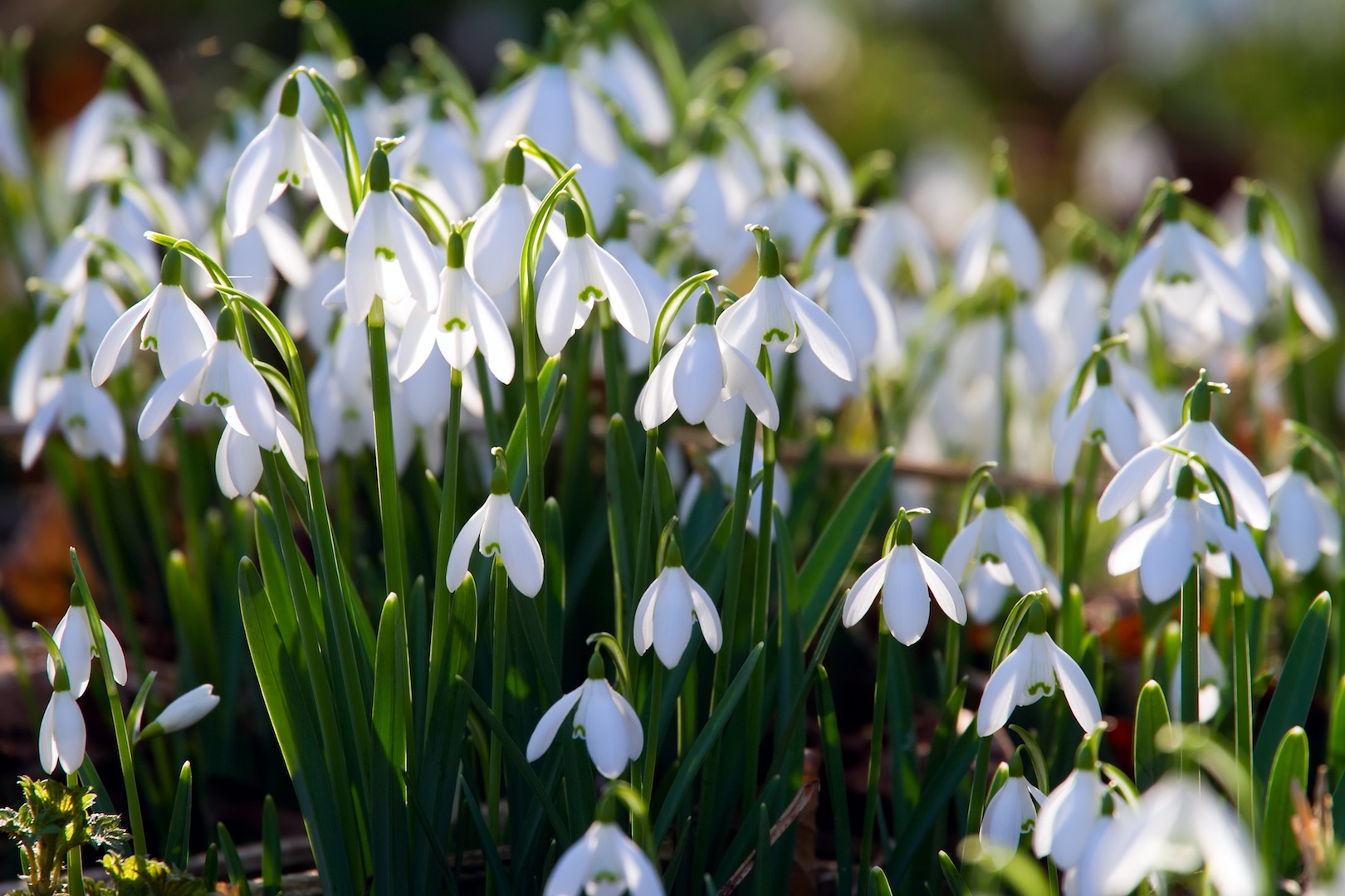 Nőnap alkalmából, nem csak nőknek.